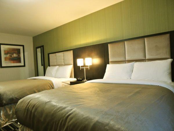 Western Star Inn & Suites Stoughton Room photo